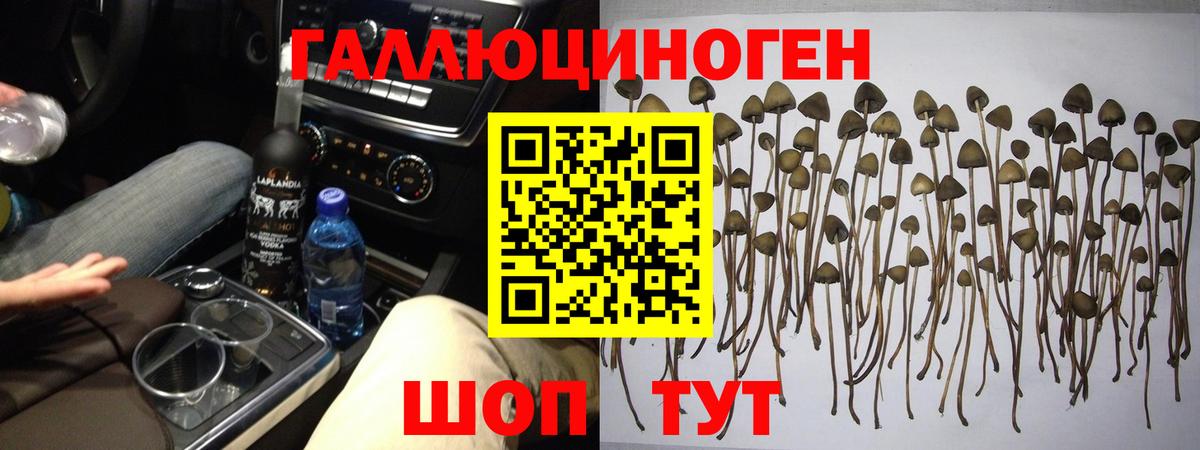 МЕФ   Каннабис  LSD-25  А ПВП СОЛЬ кристаллы  МЕТАМФЕТАМИН  Cocaine  Воркута  Вход с VPN  ГАШ 