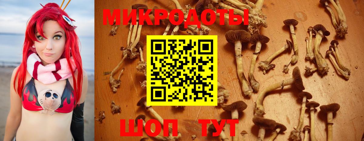 Галлюциногенные грибы мицелий Воркута