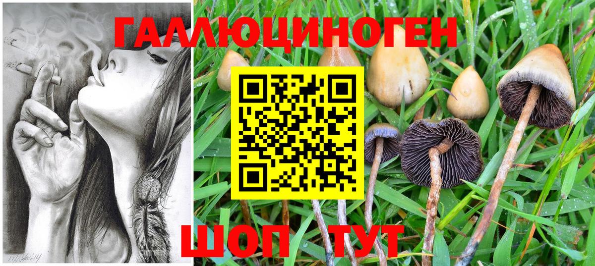 наркота  Вход с VPN  Воркута  Галлюциногенные грибы Magic Shrooms 